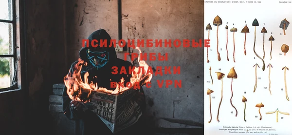 трава Алзамай