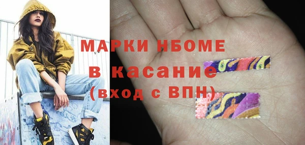 ешки Алексин