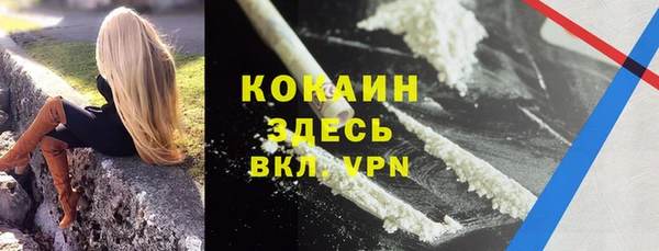 ешки Алексин