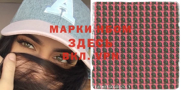 ешки Алексин