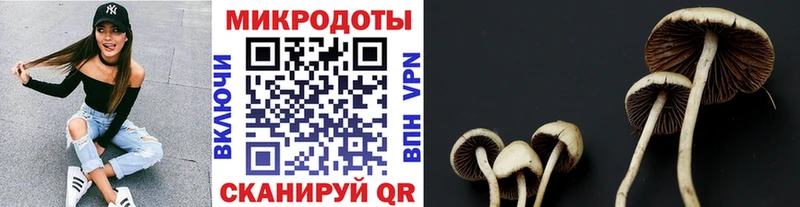 магазин продажи наркотиков  Жиздра  маркетплейс клад  Галлюциногенные грибы MAGIC MUSHROOMS  ссылка на мегу ССЫЛКА 